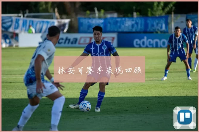 林安可赛季表现回顾