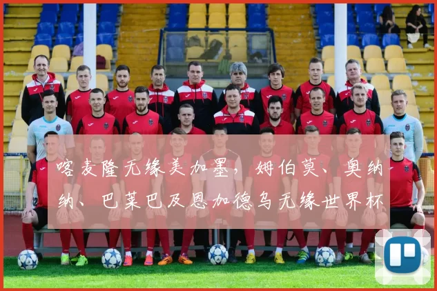 喀麦隆无缘美加墨，姆伯莫、奥纳纳、巴莱巴及恩加德乌无缘世界杯