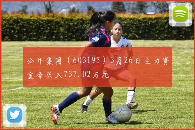 公牛集团（603195）3月26日主力资金净买入737.02万元